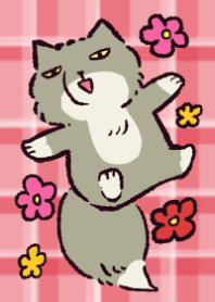 藏狐☆