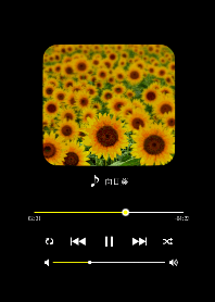 Music application Sunflower