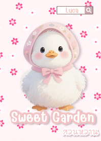 ดอลลี่ เป็ดน้อยในสวน