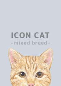 ICON CAT -Mixed breed cat- PASTEL BL/13