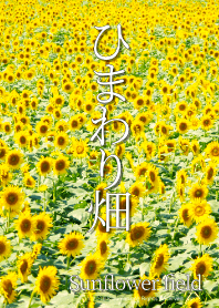 ひまわり畑 - Sunflower field - #1.1