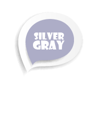 Silver Grey Button In White
