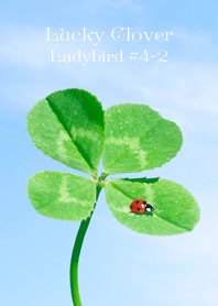 四つ葉のクローバーとテントウムシ #4-2