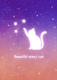 ดวงดาวที่สวยงาม แมว สีม่วง
