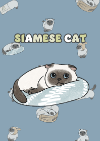 siamesecat7 - pale blue