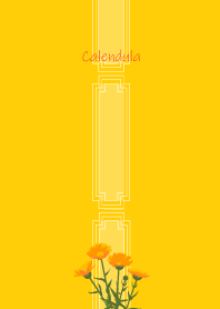 January's birth flower, Calendula