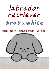 labrador retriever dog theme2 gray white