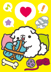 どMなこいぬ君