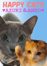 HAPPY CATS ♥あずき＆あんこ♥