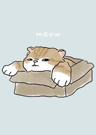 neko drawing2 / light green