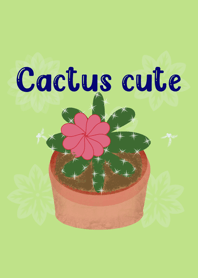 Cactus   cute
