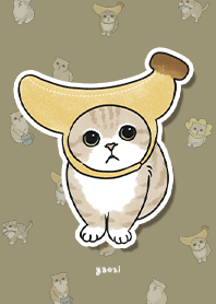 neko combo3 / oliver