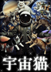 Mysterious Universe and Cats