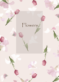 スプリング・チューリップ・ピンク壁紙