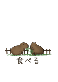capybara eat