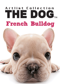 THE DOG French Bulldog