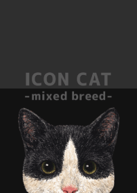 ICON CAT - Mixed breed cat - BLACK/09