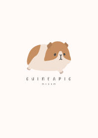 RUN GUINEA PIG-PINK BEIGE 16