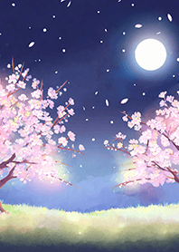 Beautiful night cherry blossoms#786