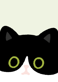 Tuxedo cat and Black cat13