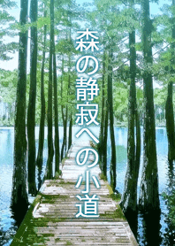 Pathway to Forest Serenity