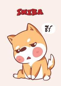 ธีร์ ใครไม่บะ ชิบะ 4 V15