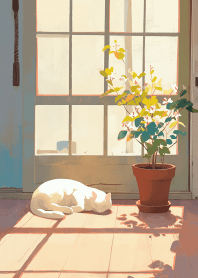 お昼寝中の猫 2