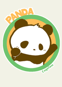 COLORFUL PANDA!!