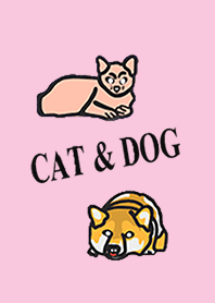 CAT & DOG