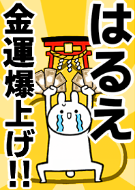 Fortune rise rabbiit[Harue]