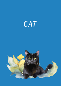 there's a cat on blue