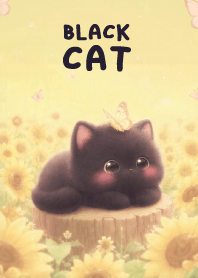 Lovely Black cat In Sun Flower