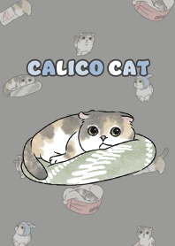 calicocat2 / dim grey