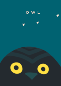Owl night