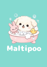 柔軟馬爾泰迪主題3 Green 08