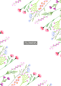 water color flowers_749