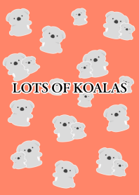 LOTS OF KOALASj-NEON ORANGE-BLACK