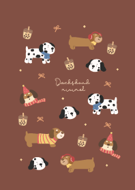 Dachshund cute : brown!