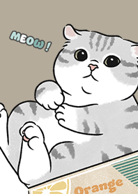 neko single15 - khaki