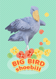 BIG BIRD ハシビロコウ
