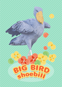 BIG BIRD shoebill