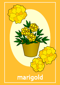 FLOWER Marigold.