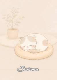 Cozy Lazy Cat: Sakuma