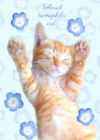 네모 피라 고양이 푸른 꽃