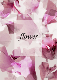 Sweet pea, full of clarity.24.