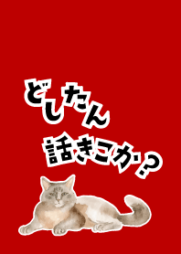 red & beige 相談にのる猫