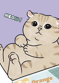 neko single19 / violet