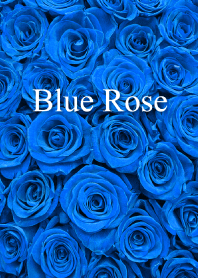 "Blue Rose vol.1" theme