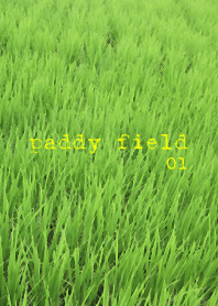 田んぼ01(paddy field01)
