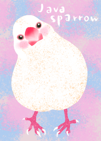 Theme of cute java sparrow